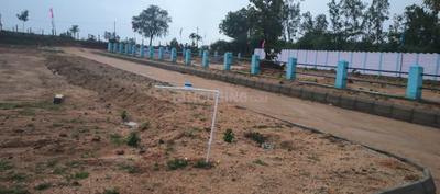 VNG Projects Plot View 2