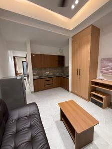 Hall Image of 900 Sq.ft 1 BHK Apartment / Flat for rent in DLF Phase 3 Gurgaon for Rs. 30000