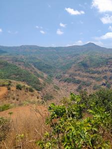 Image of 40000 Sq.ft Residential Plot / Land for sale in Bhor, Pune for Rs. 1500000