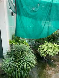 Image of 720 Sq.ft 2 BHK Builder Floor for sale in Tagore Garden Extension, New Delhi for Rs. 7000000