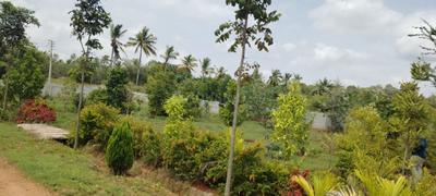 Image of 6000 Sq.ft Residential Plot / Land for sale in Gollahalli, Bengaluru for Rs. 4800000