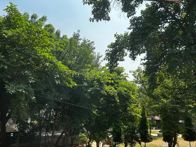 Image of 1650 Sq.ft 3 BHK Builder Floor for sale in Sector 49, Gurgaon for Rs. 25500000