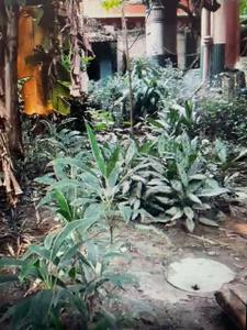 Image of 18000 Sq.ft 12 BHK Independent House for sale in Shyam Bazar, Kolkata for Rs. 135000000