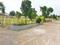 royal meadow Plot View 2