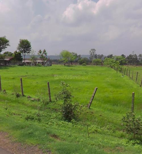 Barela Main Image 1