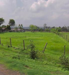 Barela Plot View 2