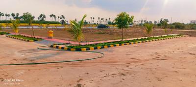 Image of 150 Sq.ft Residential Plot / Land for sale in Prodduturu, Krishna for Rs. 3300000