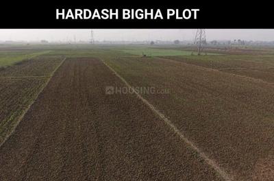 Image of 1200 Sq.ft Residential Plot / Land for sale in Sadikpur, Patna for Rs. 900000