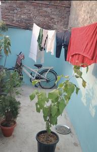 Image of 225 Sq.ft 1 RK Builder Floor for sale in Baljit Nagar, New Delhi for Rs. 1200000