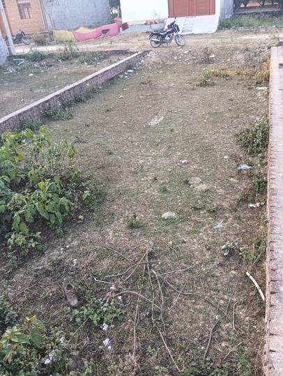 Sadrauna Main Image 1