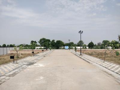 Residential Plot