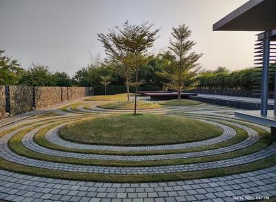 The Paragraph Plot View 1