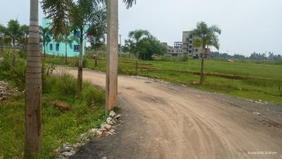 Image of 2000 Sq.ft Residential Plot / Land for sale in Trisulia, Cuttack for Rs. 6300000