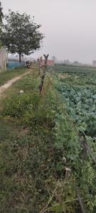 Image of 13455 Sq.ft Residential Plot / Land for sale in Gosainganj, Lucknow for Rs. 18000000