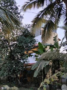 Image of 1400 Sq.ft 1 RK Independent House for sale in Kurul, Alibag for Rs. 8000000