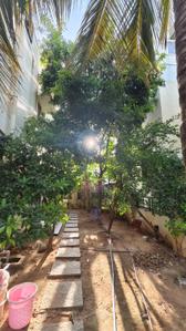 Image of 2309 Sq.ft 3 BHK Independent House for sale in Katpadi, Vellore for Rs. 30000000