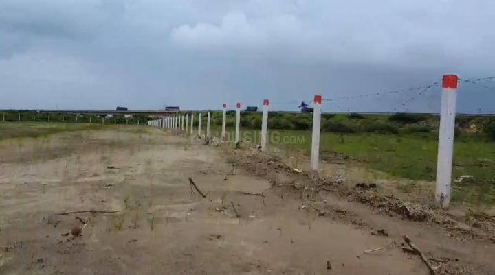 Luxury green  Main Image 1