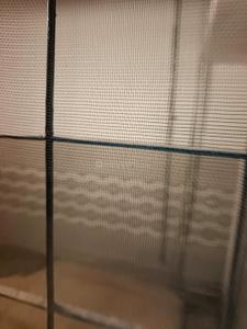 Balcony Image of 900 Sq.ft 2 BHK Builder Floor for rent in Vasundhara Ghaziabad for Rs. 13000