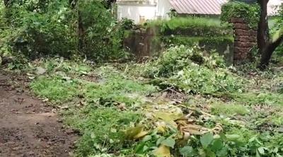 Image of 975 Sq.ft Residential Plot / Land for sale in Anjuna, Goa for Rs. 73100000