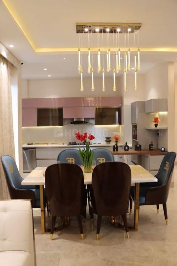 Trishla City Main Image 1