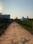 Chidambaram Main Image 1