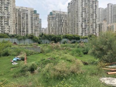 Residential Plot