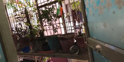 Balcony Image of 585 Sq.ft 1 BHK Apartment / Flat for rent in Renowned Park Lotus, Surajpur Greater Noida for Rs. 12000