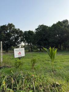 Image of 8000 Sq.ft Residential Plot / Land for sale in Kathadih, Raipur for Rs. 4600000