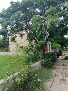 Image of 458 Sq.ft Residential Plot / Land for sale in Bakeri Serenity Proximus, Moti Devati, Ahmedabad for Rs. 5954000