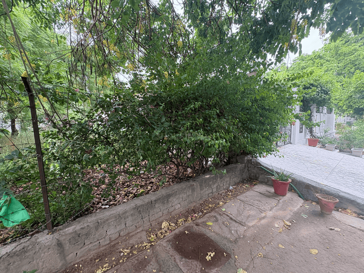 Sector 2 Plot View 1