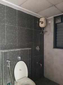 Common Bathroom Image of 850 Sq.ft 2 BHK Apartment / Flat for rent in Lodha Palava Downtown, Palava Phase 2 Thane for Rs. 15000