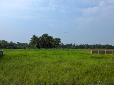 Image of 720 Sq.ft Residential Plot / Land for sale in Nest Valley, Joka, Kolkata for Rs. 222222