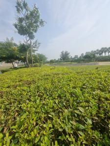 Image of 125 Sq.ft Residential Plot / Land for sale in Kurali, Mohali for Rs. 3950000