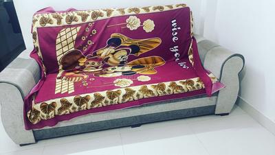 Image of 1000 Sq.ft 2 BHK Apartment / Flat for rent in Shree Krishna Residency, Charan Singh Nagar, Sikar for Rs. 16000