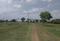 Pavendar Salai Plot View 2