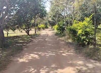 Image of 875000 Sq.ft Residential Plot / Land for sale in Mulbagal, Kolar for Rs. 500000000