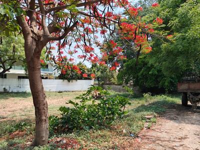 Image of 760 Sq.ft Residential Plot / Land for sale in Sainikpuri, Secunderabad for Rs. 95000000