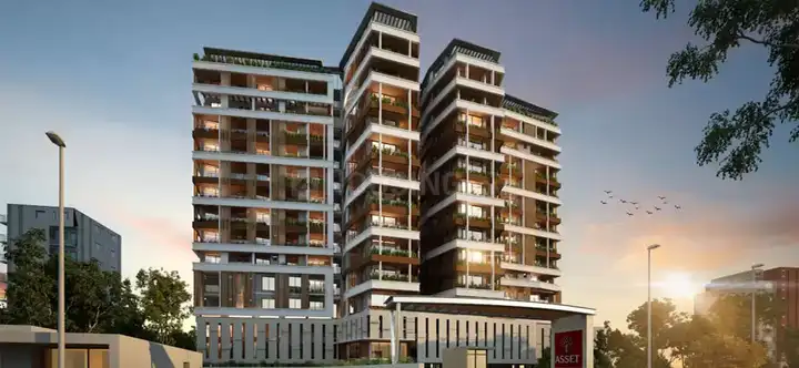 Asset Moongrace Main Image 1