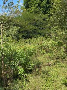 Image of 1950 Sq.ft Residential Plot / Land for sale in Nanda Ki Chowki, Dehradun for Rs. 8100000
