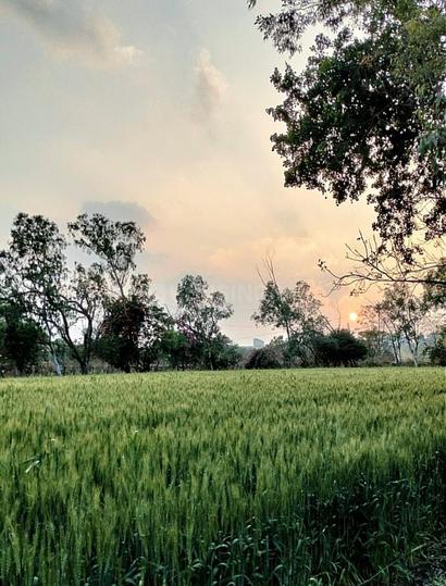 Umrikheda Main Image 1