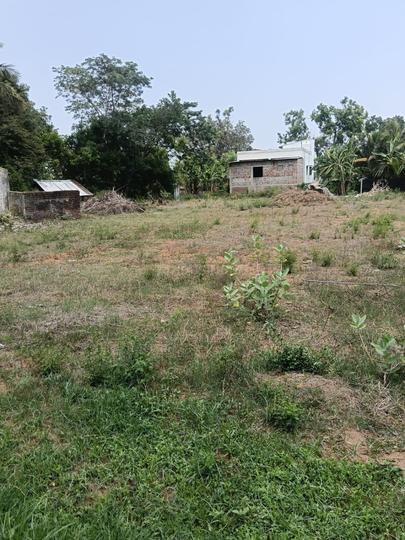 Poonjeri Main Image 1