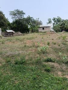 Poonjeri Plot View 1