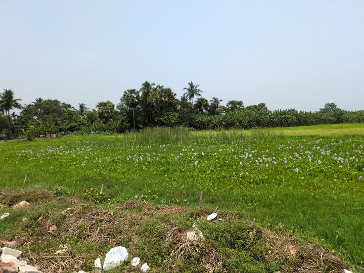 Natures Paradise Main Image 1