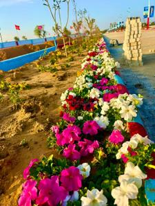 Image of 100 Sq.ft Residential Plot / Land for sale in Jharna, Jaipur for Rs. 1380000