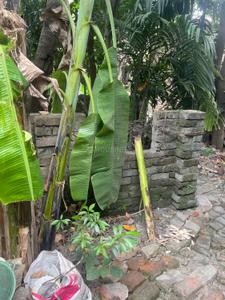 Image of 1180 Sq.ft 2 BHK Independent House for sale in Shibsrijan Budge Budge Newtown, Uluberia, Howrah for Rs. 2500000