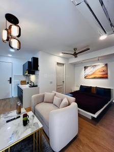 Hall Image of 450 Sq.ft 1 RK Apartment / Flat for rent in Yashcon Neon, Viman Nagar Pune for Rs. 50000
