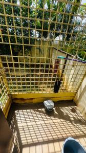 Balcony Image of 1718 Sq.ft 3 BHK Villa for rent in Casagrand Florella, BEML Cooperative Society Layout Bengaluru for Rs. 40000