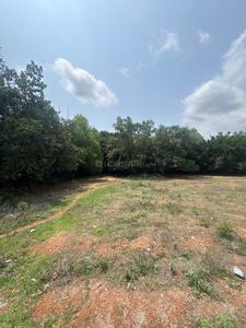 Image of 7630 Sq.ft Residential Plot / Land for sale in Ambagilu, Udupi for Rs. 10500000