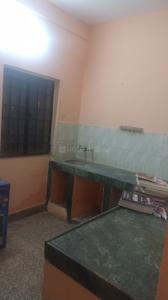Kitchen Image of 750 Sq.ft 1 BHK Apartment / Flat for rent in Fafadih Raipur for Rs. 6500