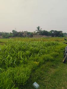 Image of 1440 Sq.ft Residential Plot / Land for sale in Sonarpur, Kolkata for Rs. 790000